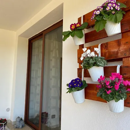 Feriehus Casa Mirto *